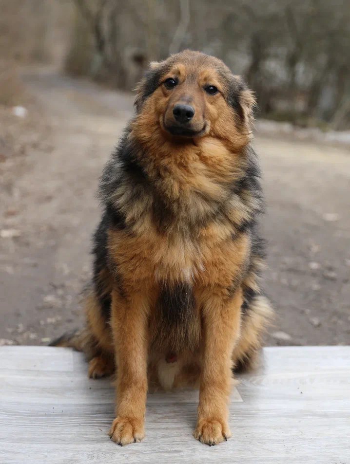 Пашка